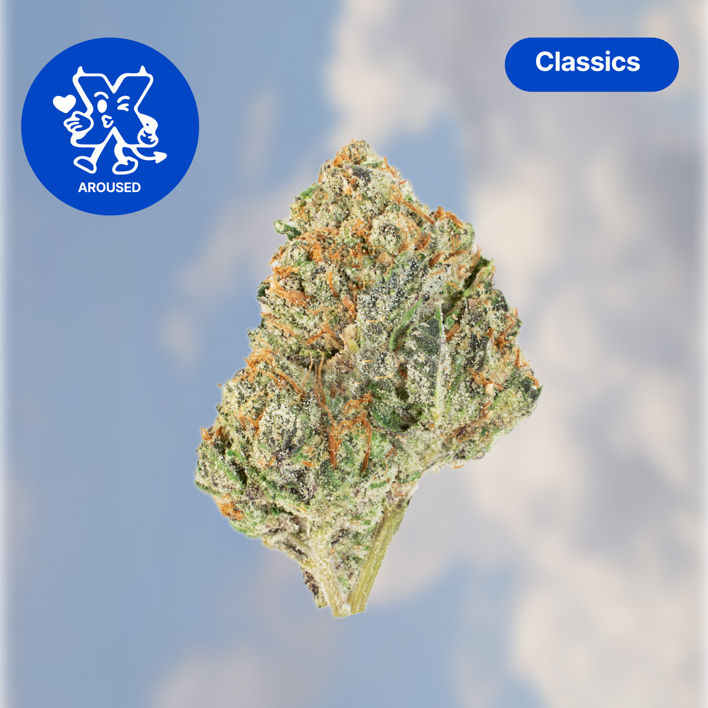 PROJECT X SAMPLER (17.5G)