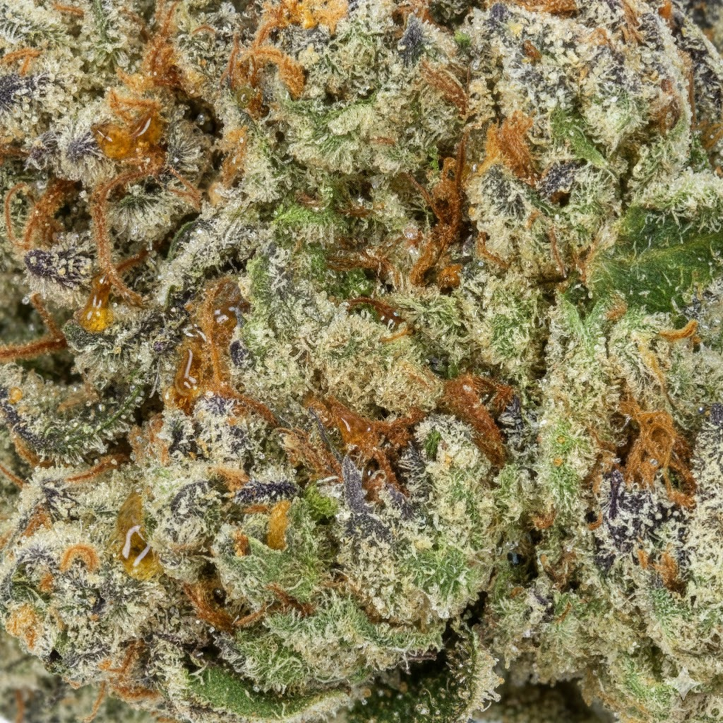 Cherry Diesel
