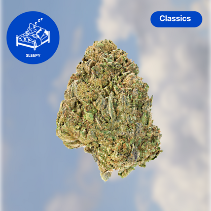 PROJECT X SAMPLER (17.5G)