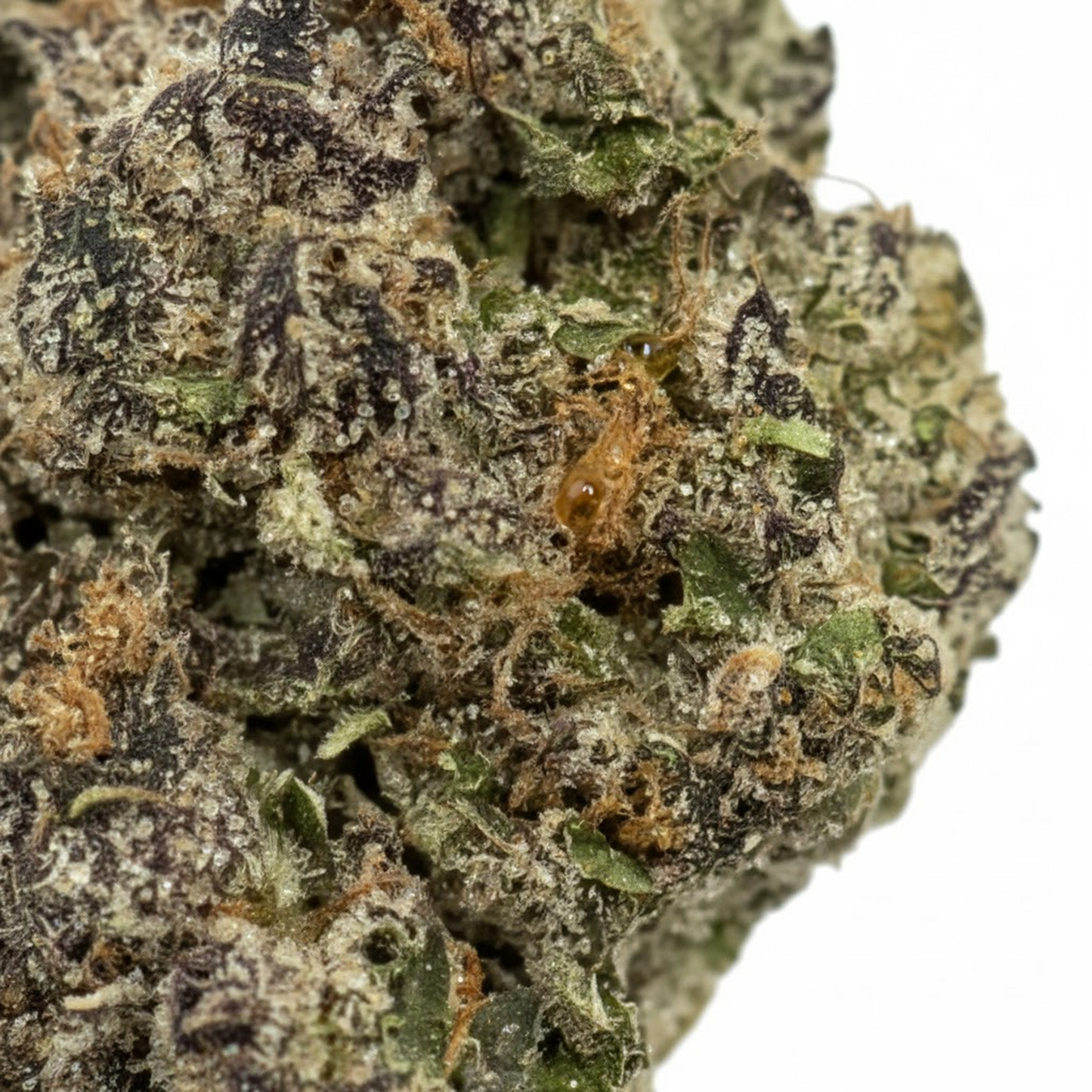 Grape Mambaz