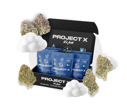 PROJECT X SAMPLER (17.5G)