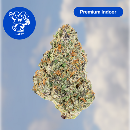 PROJECT X SAMPLER (17.5G)