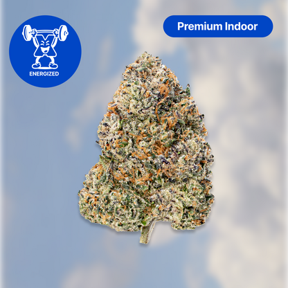 PROJECT X SAMPLER (17.5G)