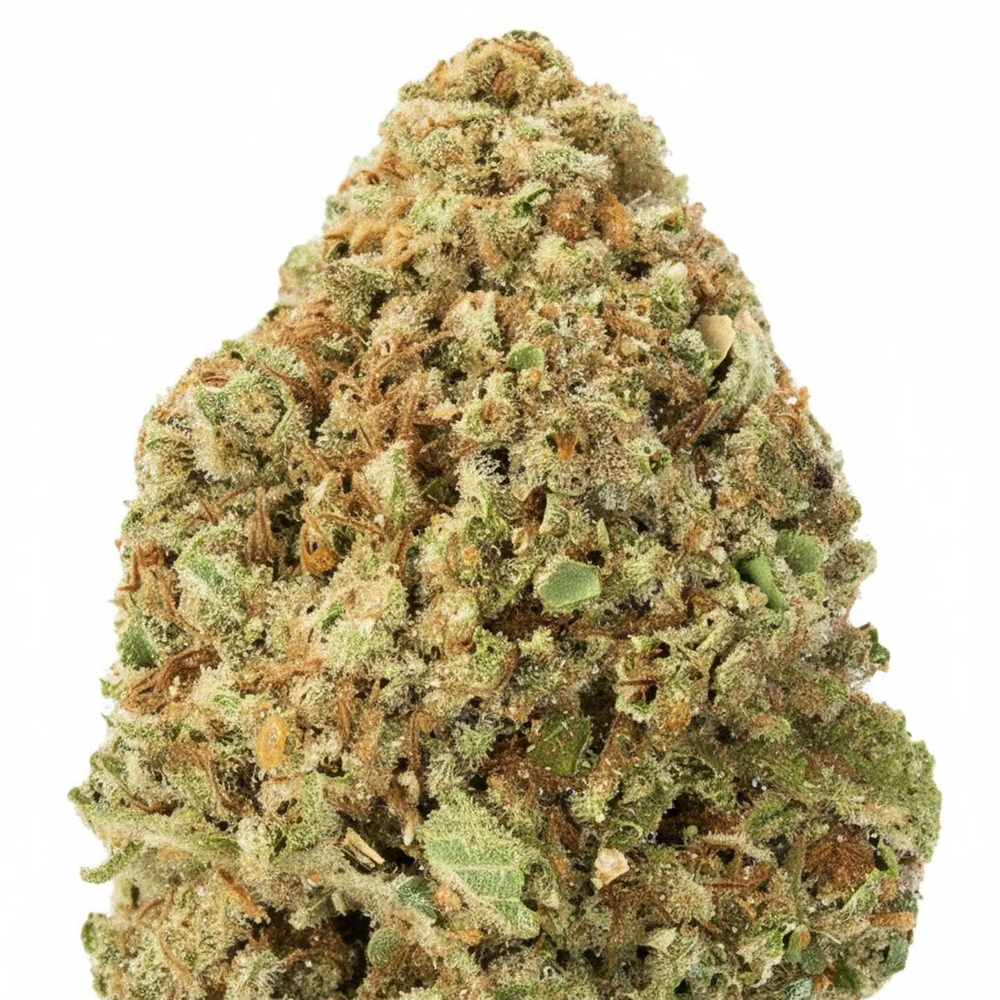 OG Kush