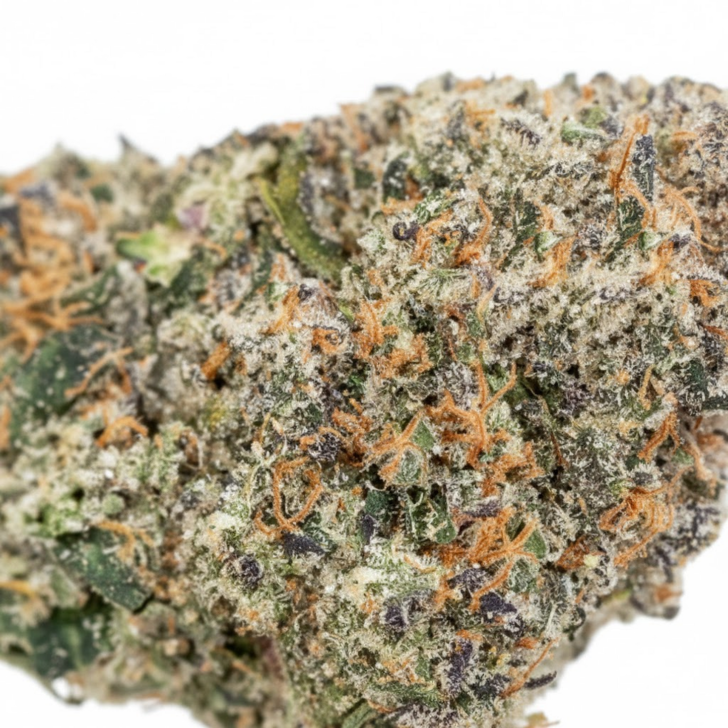 Purple Gas Runtz