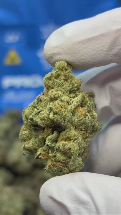 OG Kush
