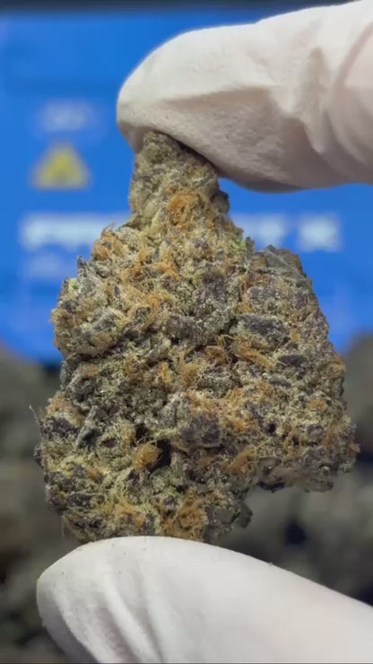 Purple Gas Runtz