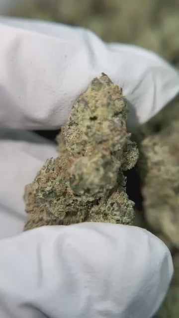Cherry Diesel